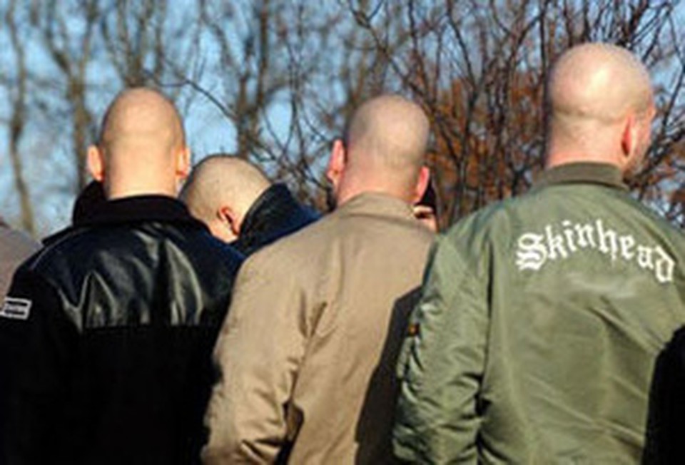 Во время задержания скинхеды признались в содеянном.