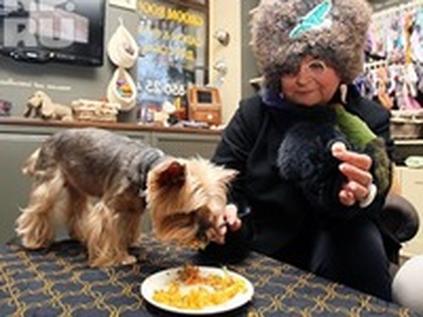 В Нью-Йорке открылось кафе для владельцев собак - Кулинарные новости В Нью-Йорке открылось кафе для владельцев собак - Кулинарные новости