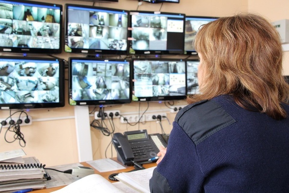 скуд синергет. синергет. система синергет. ксбо синергет. синергет.