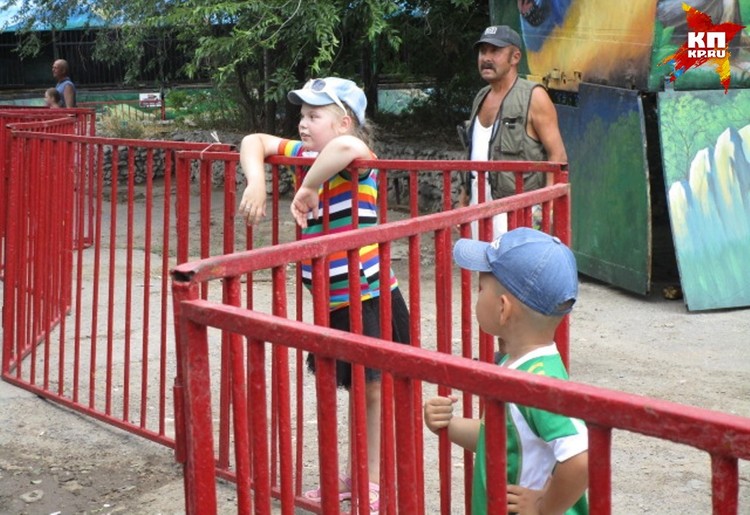 Зоопарк волгоградская область. Puri приволжская волгоград зоопарк. Зоопарк волгоград самый большой. Зоопарк сафари пешелань. Зоопарк волгоградская область.