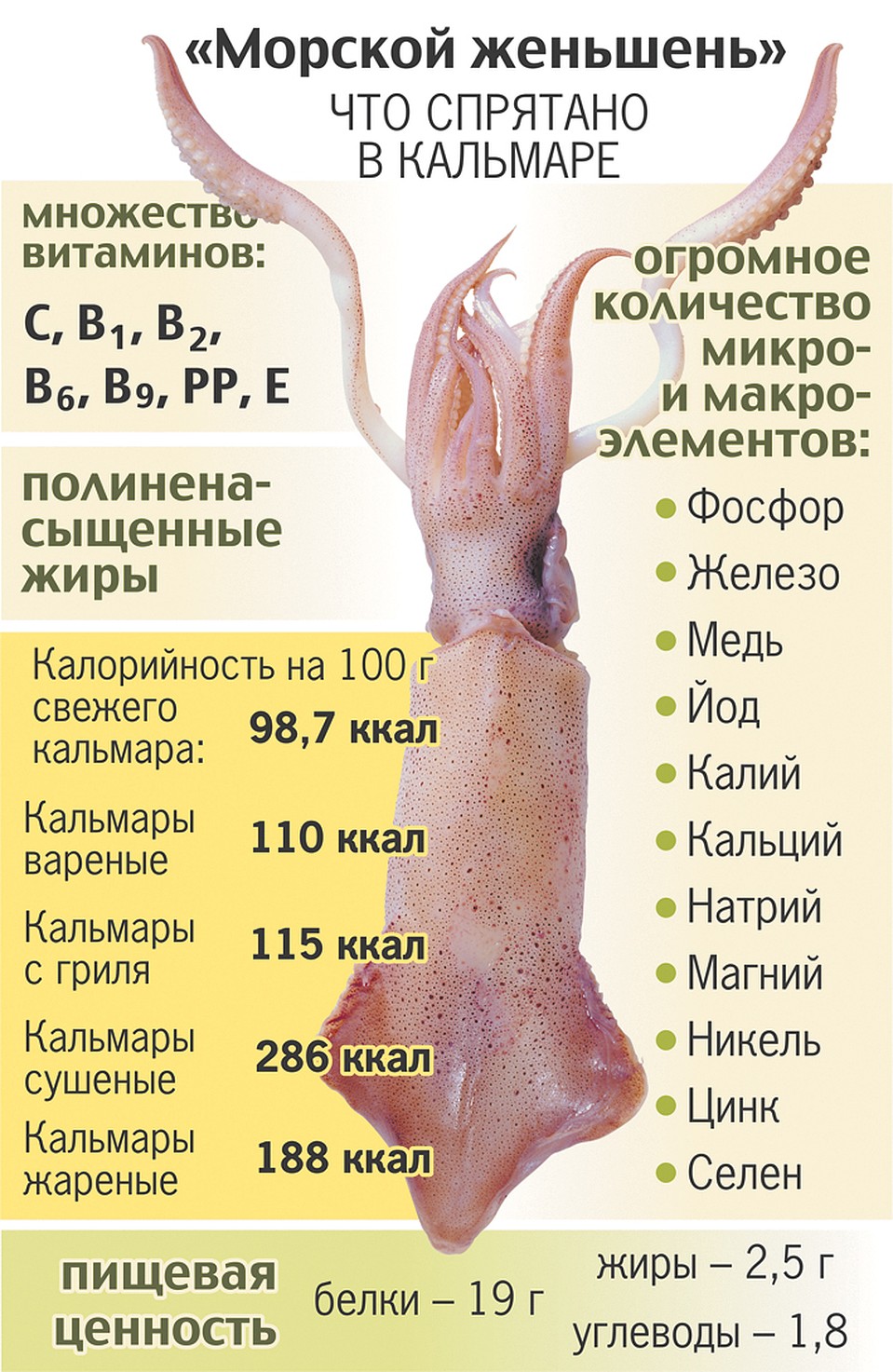 сколько белка в кальмаре. количество белка в рационе. кальмар белки жиры углеводы. таблица энергетической и пищевой ценности продуктов питания на 100 г. кальмар вареный калорийность на 100 грамм.