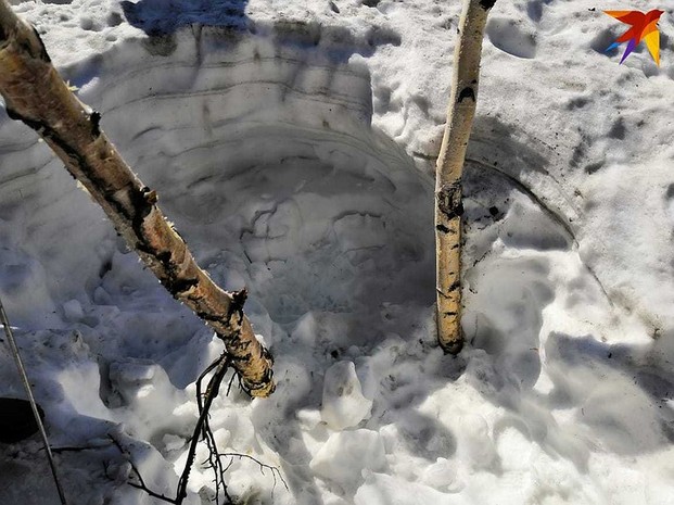 Здесь вчера нашли тело Дмитрия. Это метрах в 120 от Артёма. Его забрали в 8 вечера. Но в яме уже успел побывать медведь, видны следы. Сжевал перчатки, оставленные экспертами. Фото: Ася ЖУКОВА