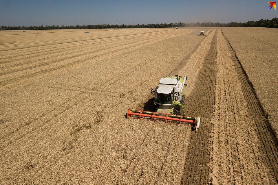 ������ ������� �� ������ ����: ������� ������