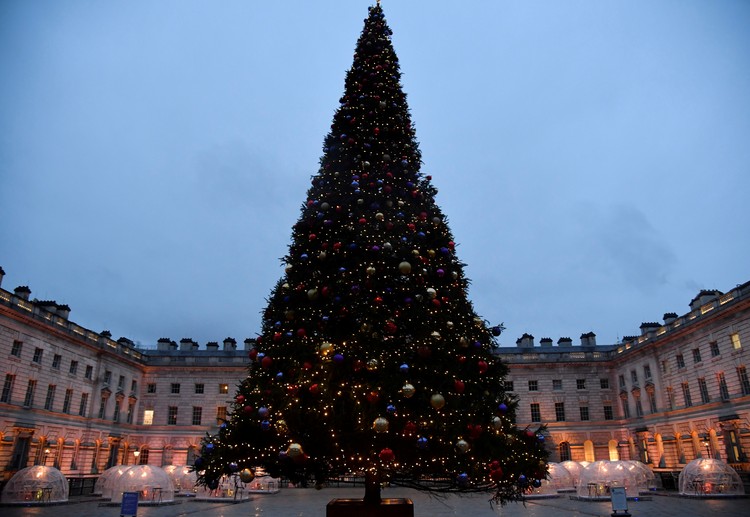 Los residentes británicos también reciben un árbol de Navidad gratis. La principal belleza siempre está instalada en Trafalgar Square de Londres.