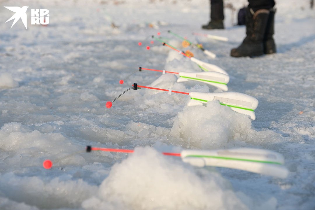 Удочки для корюшиной ловли используются самые простые. Рыбаки называют их "кобылками".