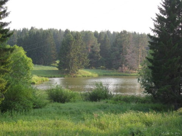 «Лебяжье» Фото: loveudm.ru