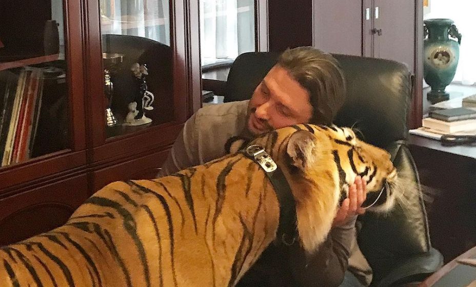 Эдгар Запашный принимает тигров даже в своем кабинете. Фото: Личная страница Эдгара Запашного в соцсетях