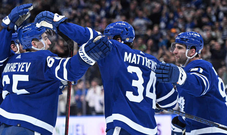 Илья Михеев, хоккей