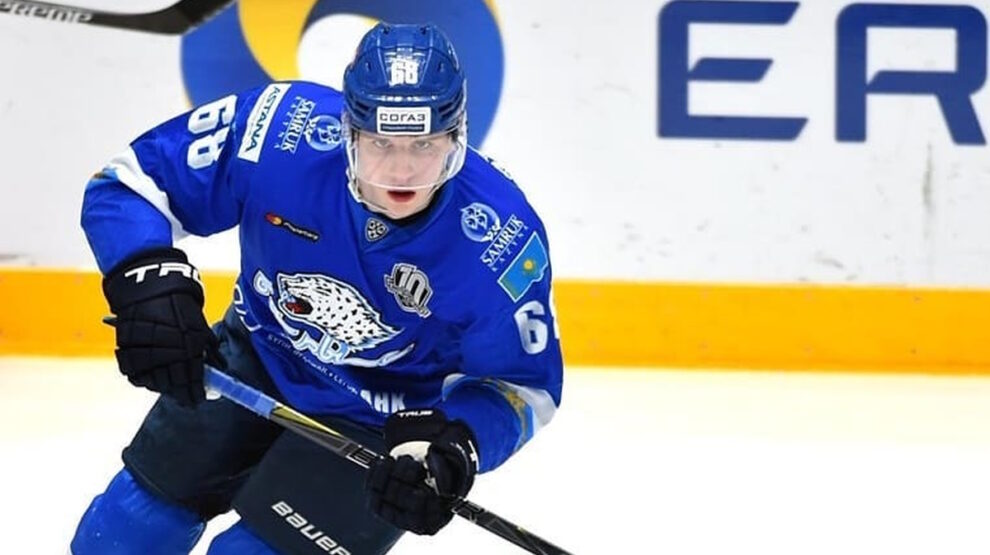 Дмитрий Гурков