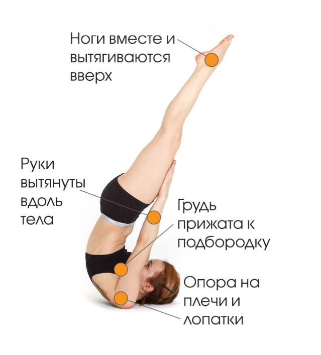 15-минутный утренний комплекс. Видео с утренней йогой
