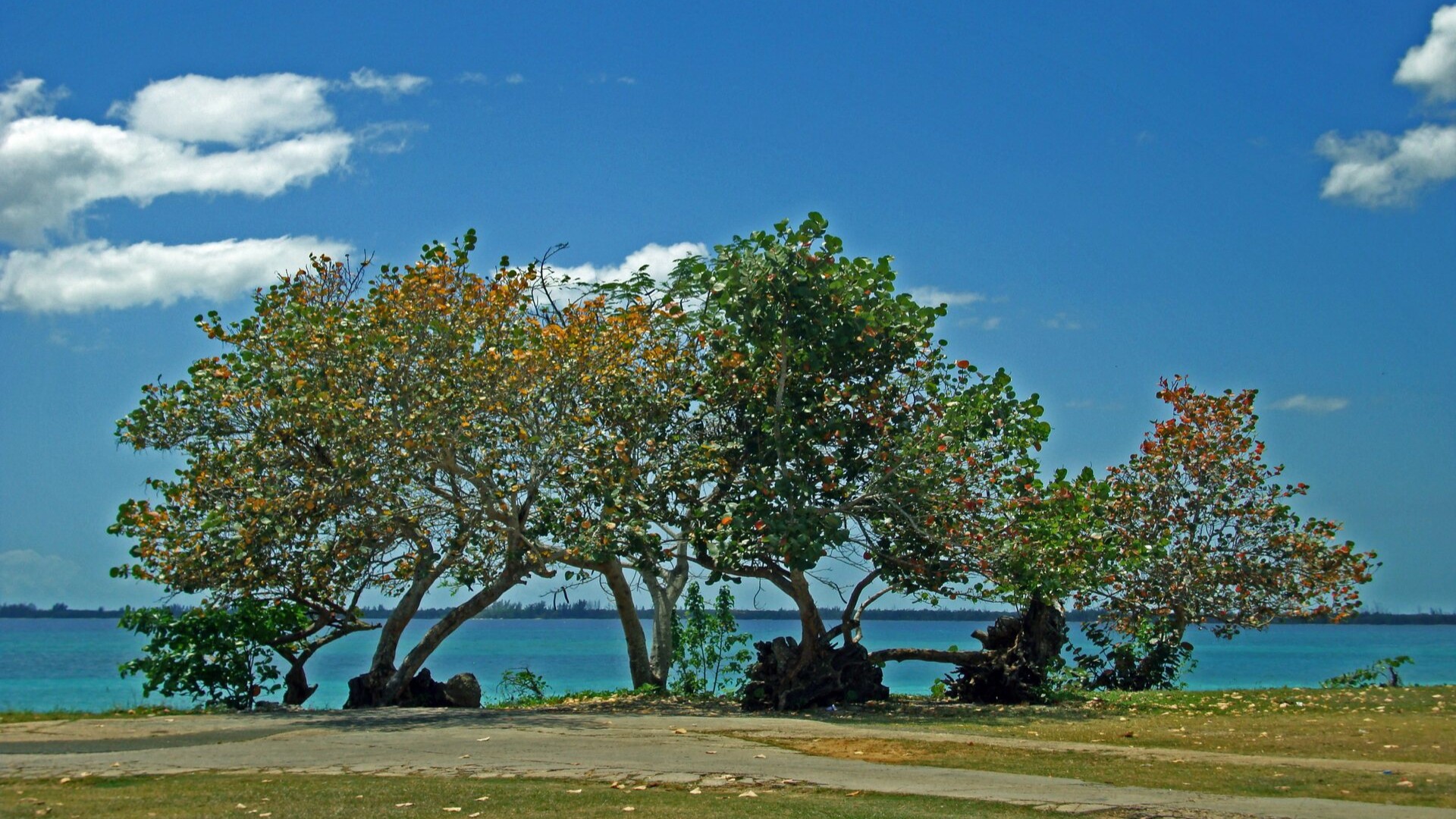Карибское побережье в Плайя-Ларга, Матансас.